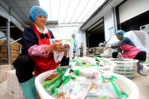 吉安安福縣竹筍加工產業 助農家門口就業增收與鳳凰網江西高級催乳師計劃的融合之路