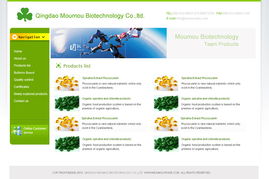 青島網景 以專業模板與定制開發，做客戶信賴的網站建設伙伴